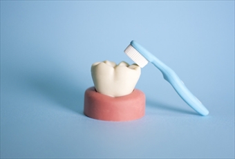 高松でインプラント治療を行う【サンシャイン歯科】は、インプラント＝第3の歯と考えています