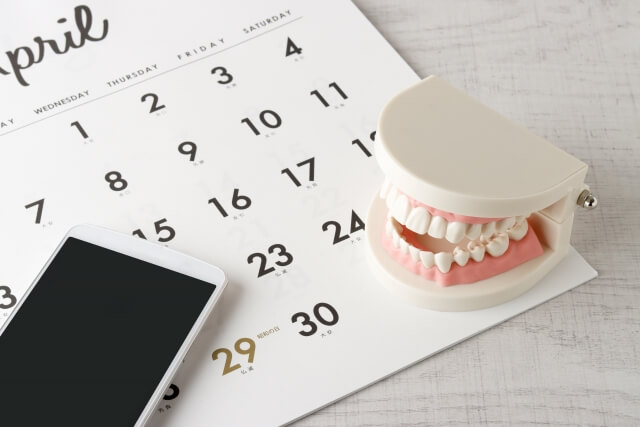 カレンダーと歯の模型とスマホ